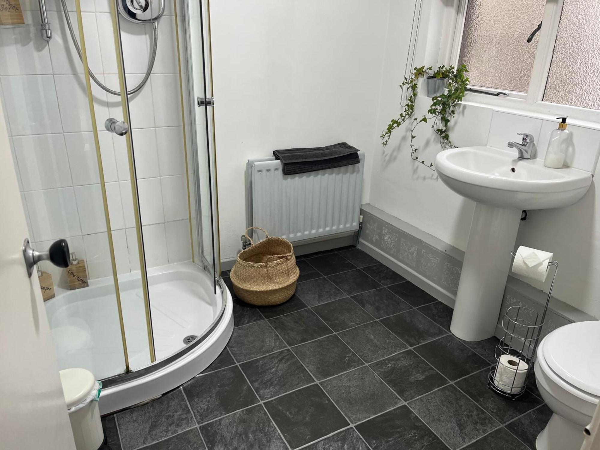 Elderberry Apartment Belfast Dış mekan fotoğraf